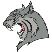 AR WILDCAT 41 RC Thumbnail