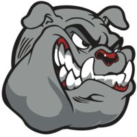 AR BDOG 13 RC Thumbnail