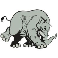 AR5 Elephant 08 RQC Thumbnail