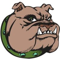 BAW BULLDOG 14 RC Thumbnail