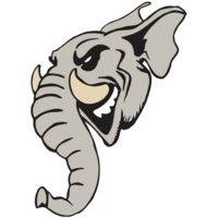 AR5 Elephant 11 RQC Thumbnail