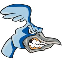 ROADRUNNER HD0503 RQC Thumbnail