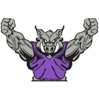 AR RAZORBACK 10 RC Thumbnail