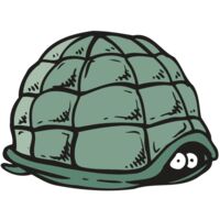 AR5 Turtle 10 RQC Thumbnail