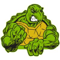 AR31 TURTLE 01 RQC Thumbnail