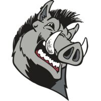 AR RAZORBACK 15 RC Thumbnail