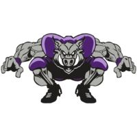 AR RAZORBACK 28 RC Thumbnail