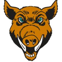 AR19 RAZOR 02 RQC Thumbnail