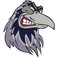 RAVEN HD0504 RQC Thumbnail