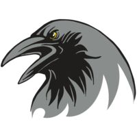 AR31 RAVEN 02 RQC Thumbnail