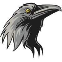 AR31 RAVEN 01 RQC Thumbnail