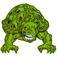 AR31 TURTLE 03 RQC Thumbnail