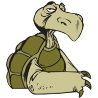AR5 Turtle 01 RQC Thumbnail