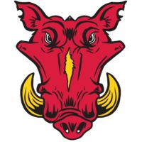 AR19 RAZOR 01 RQC Thumbnail