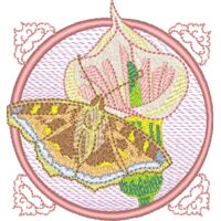 328166 Thumbnail