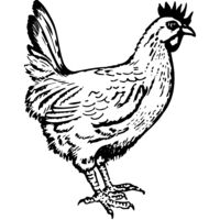 CHICK004 Thumbnail