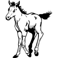 HORSE044 Thumbnail