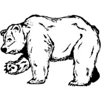 BEAR012 Thumbnail