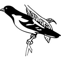 BIRD038 Thumbnail