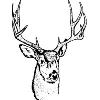 DEER016 Thumbnail