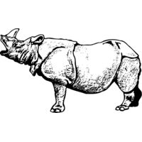 RHINO003 Thumbnail