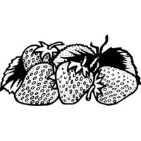 FRUIT038 Thumbnail