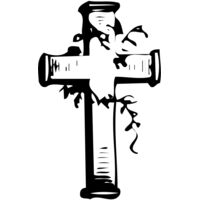 CROSS021 Thumbnail