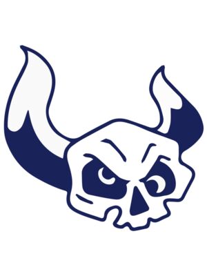 Elements Skulls logo template 38