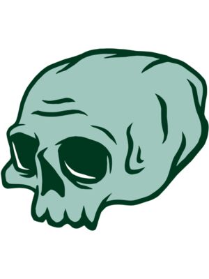 Elements Skulls logo template 47