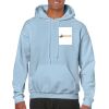 Heavy Blend Adult Hooded Sweatshirt Thumbnail