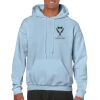 Heavy Blend Adult Hooded Sweatshirt Thumbnail