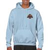 Heavy Blend Adult Hooded Sweatshirt Thumbnail