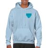 Heavy Blend Adult Hooded Sweatshirt Thumbnail