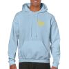 Heavy Blend Adult Hooded Sweatshirt Thumbnail