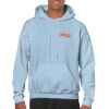 Heavy Blend Adult Hooded Sweatshirt Thumbnail