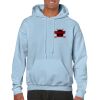 Heavy Blend Adult Hooded Sweatshirt Thumbnail