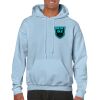 Heavy Blend Adult Hooded Sweatshirt Thumbnail