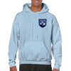 Heavy Blend Adult Hooded Sweatshirt Thumbnail